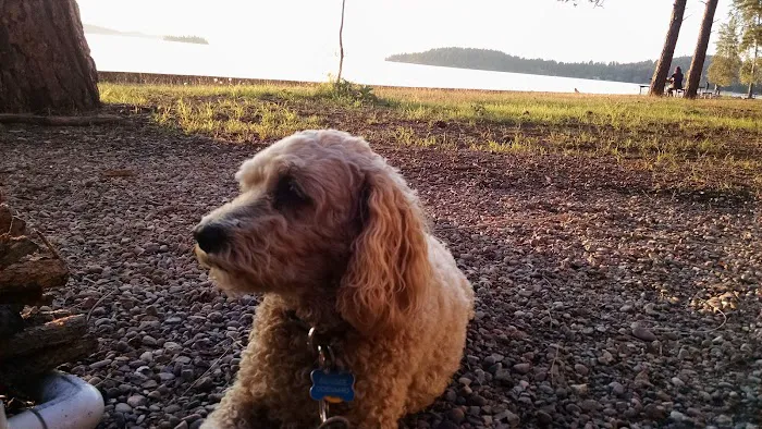 Finley Point Campground 8
