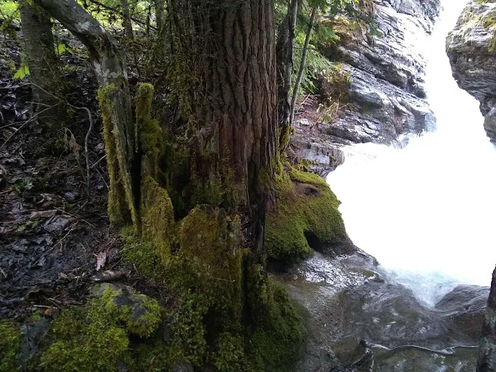 Mission Falls Campground 9