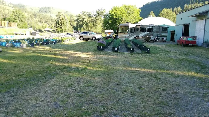 Ravalli Store and Days Rest Campground 1