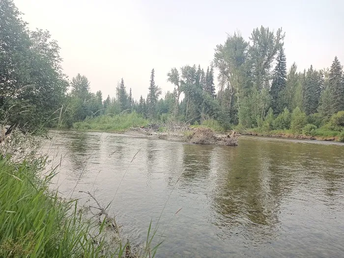 Cedar Creek Campground 1