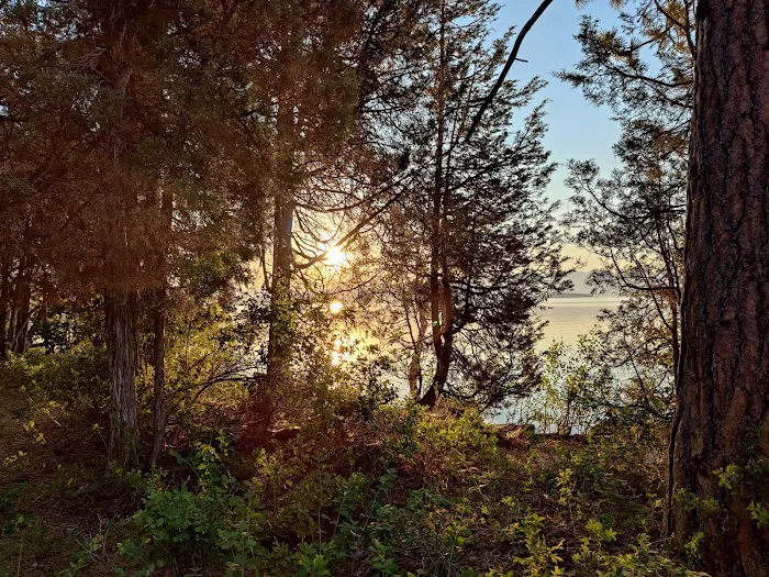 Big Arm Campground 8