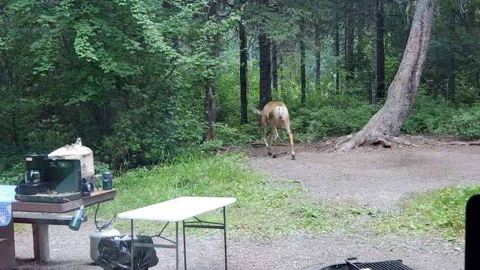 Lost Johnny Campground (recgovnpsdata) 6