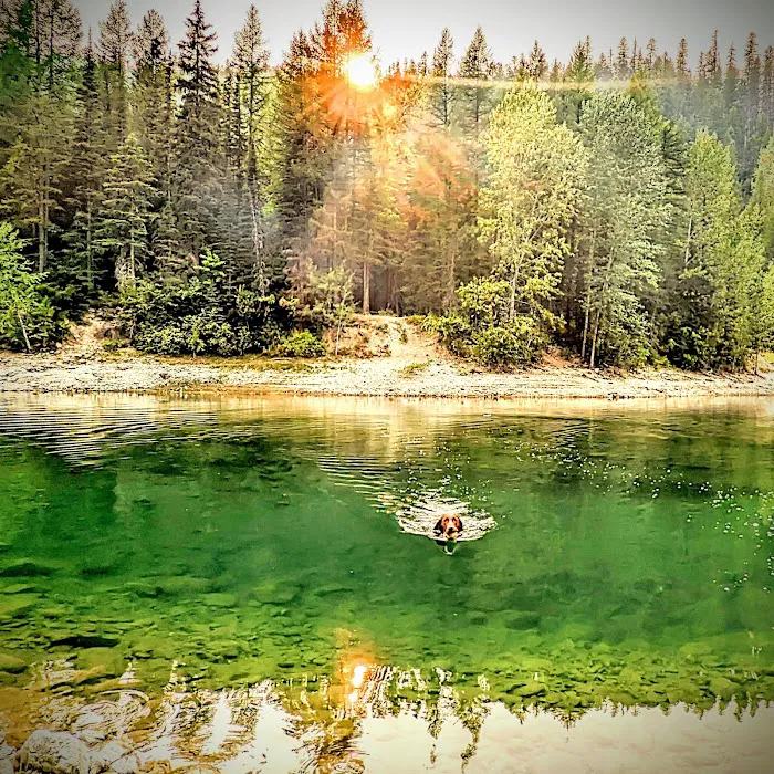 Lost Johnny Campground (recgovnpsdata) 8