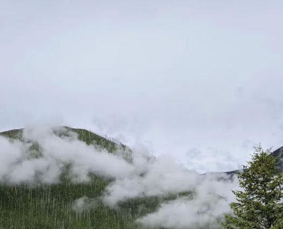 DORIS CREEK CAMPGROUND