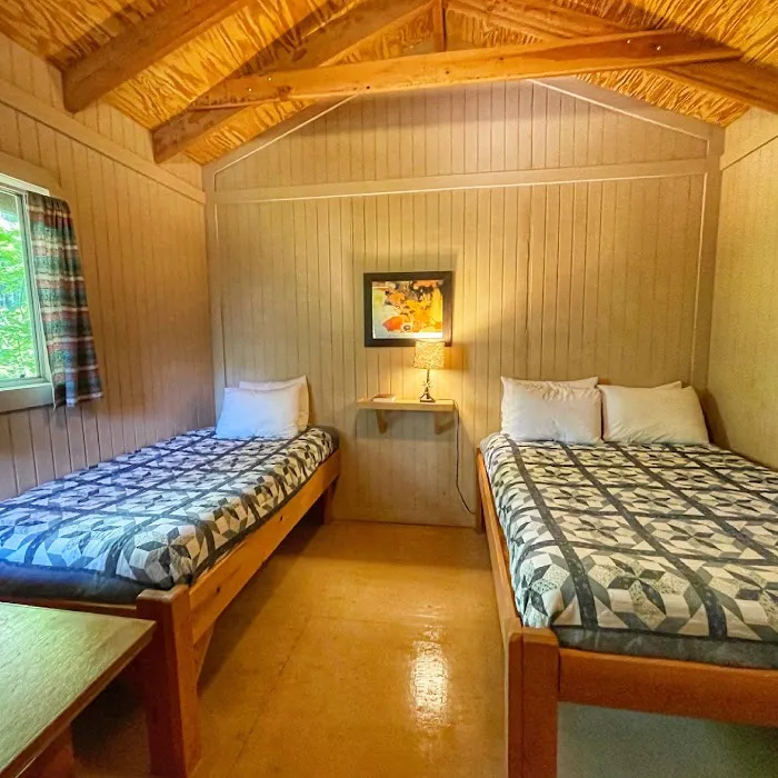 Timber Wolf Resort & Jeep Rentals 1