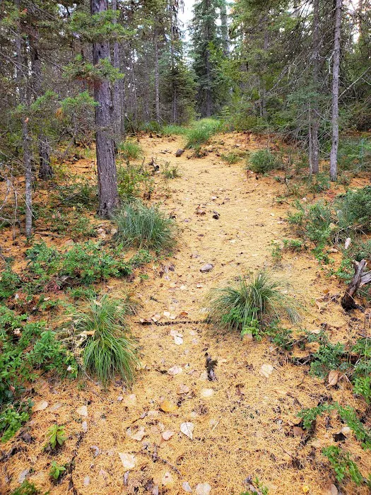 Lakeview Campground 7