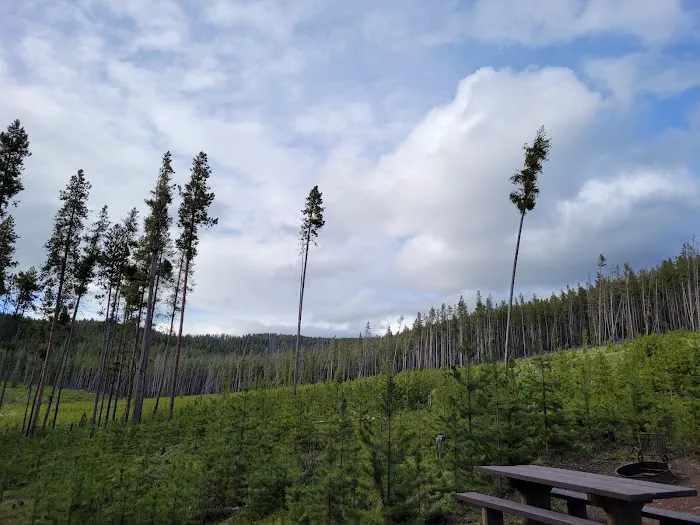 Lodgepole Campground (On Georgetown Lake, Montana) 2