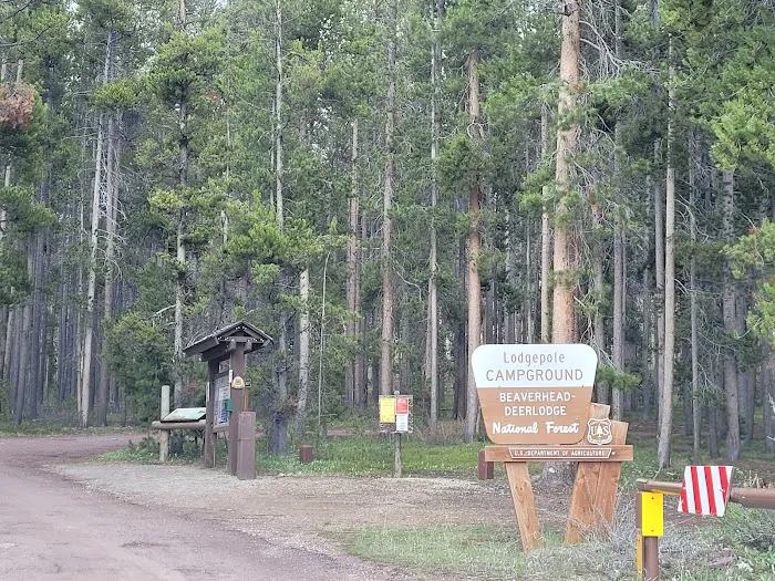 Lodgepole Campground (On Georgetown Lake, Montana) 6