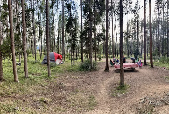 Lodgepole Campground (On Georgetown Lake, Montana) 7