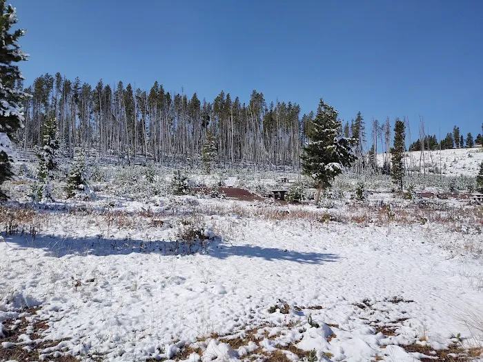 Piney Campground and Picnic Area 6