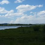 Stuart Mill Bay Campground