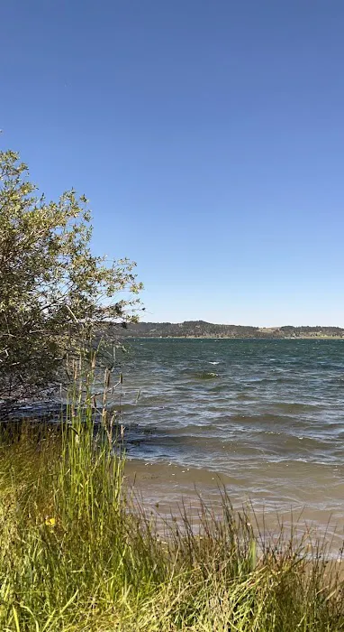 Stuart Mill Bay Campground 1