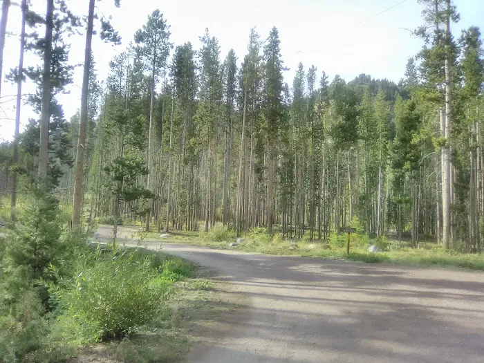 Spring Hill Campground and Picnic Area 3