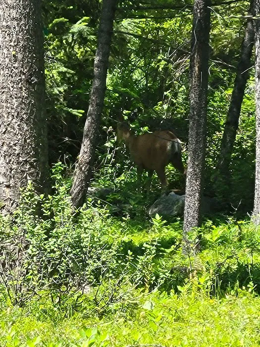 Spillway Campground 5