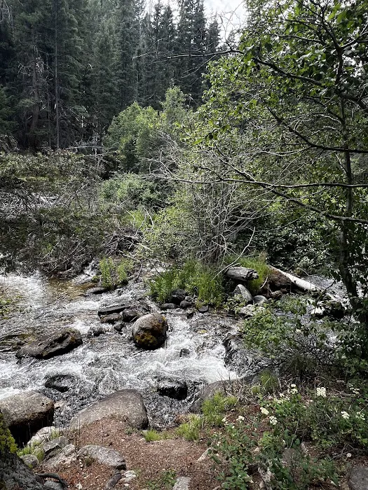 Racetrack campground 0