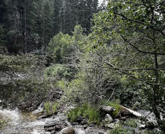 Racetrack campground