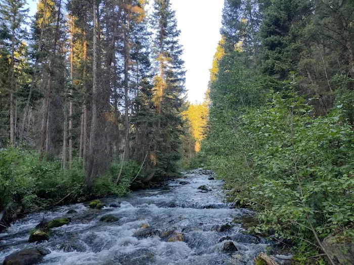Racetrack campground 4
