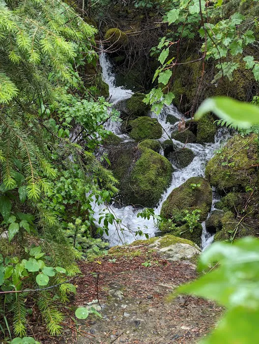 Dalles Campground 7