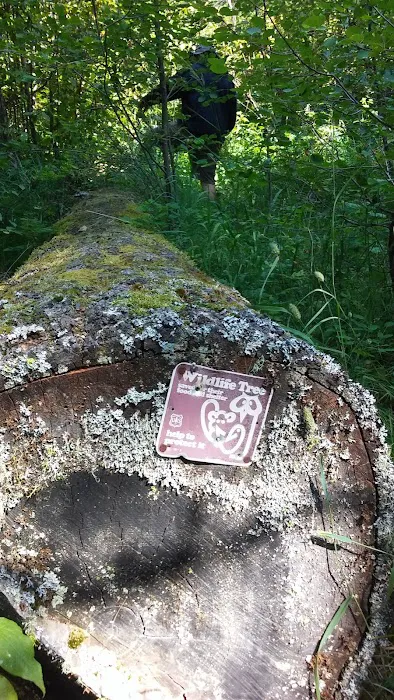Grizzly Campground 3
