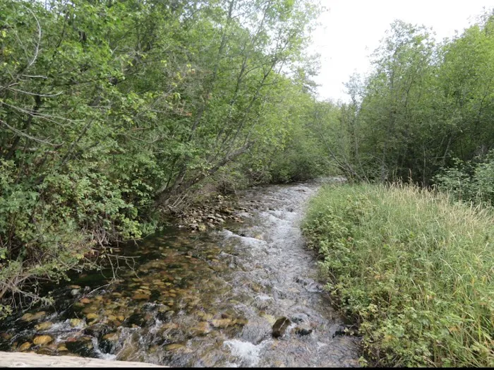 Grizzly Campground 4