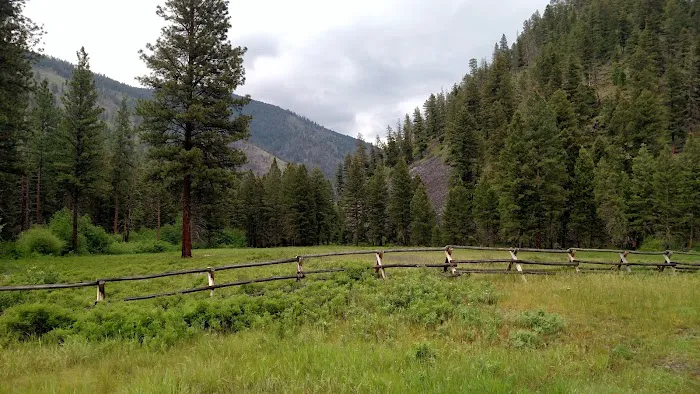 Grizzly Campground 8