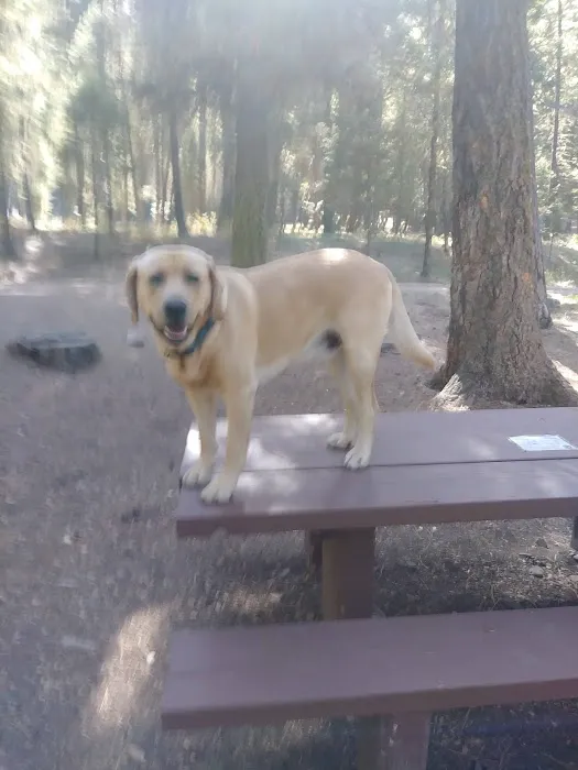 Grizzly Campground 6