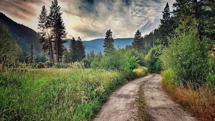 Grizzly Campground 9