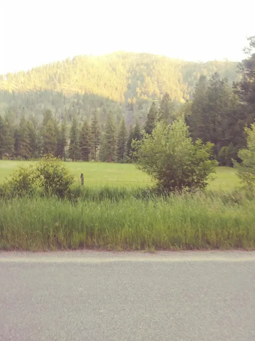 Norton Campground 1