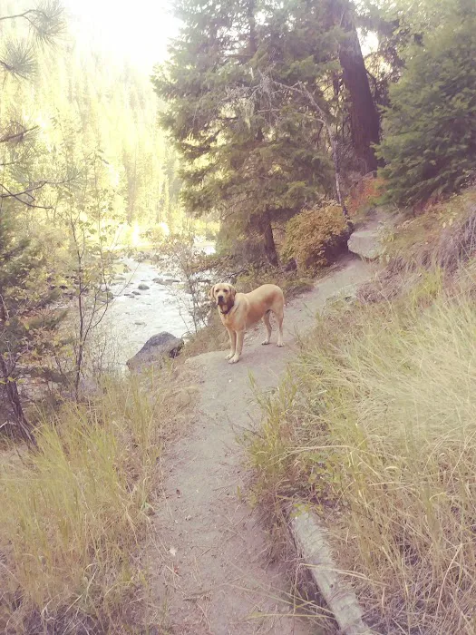 Norton Campground 3