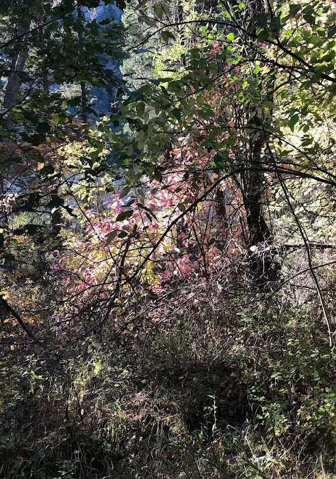 Norton Campground 6