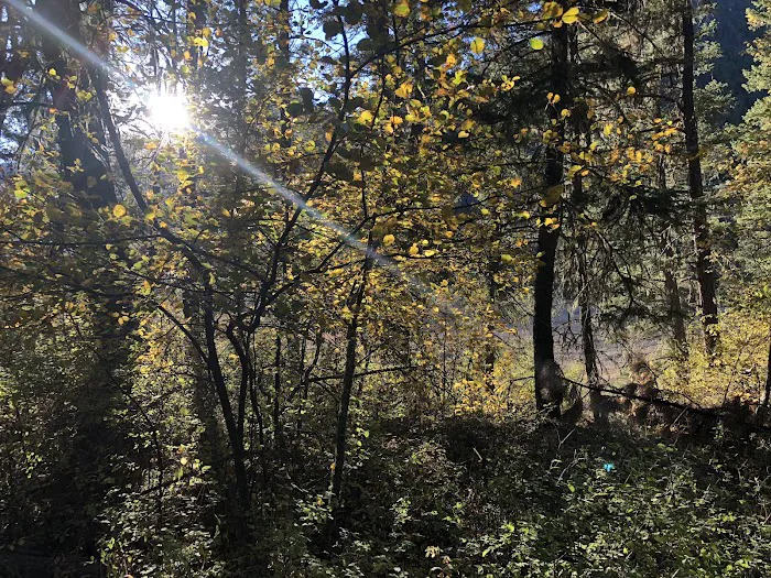 Norton Campground 7