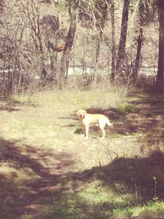 Norton Campground 8