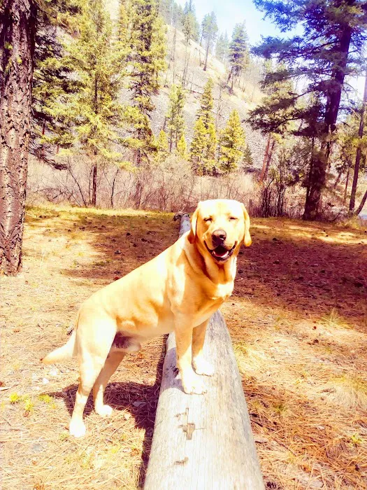 Norton Campground 9