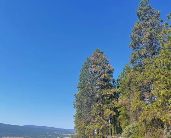Water People Tours & Camp Kapapa