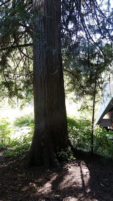 Knife Edge Campground 1