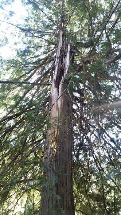 Knife Edge Campground 2