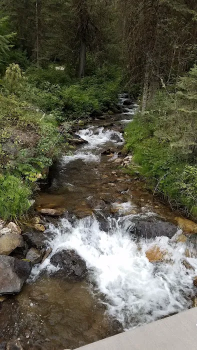 Glover Campground 6
