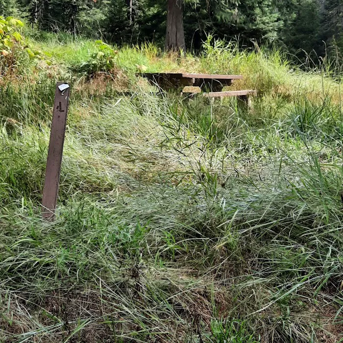 Glover Campground 8