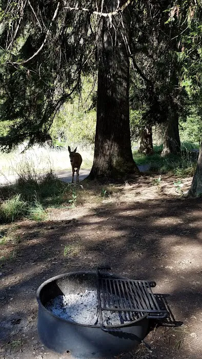 Glover Campground 9