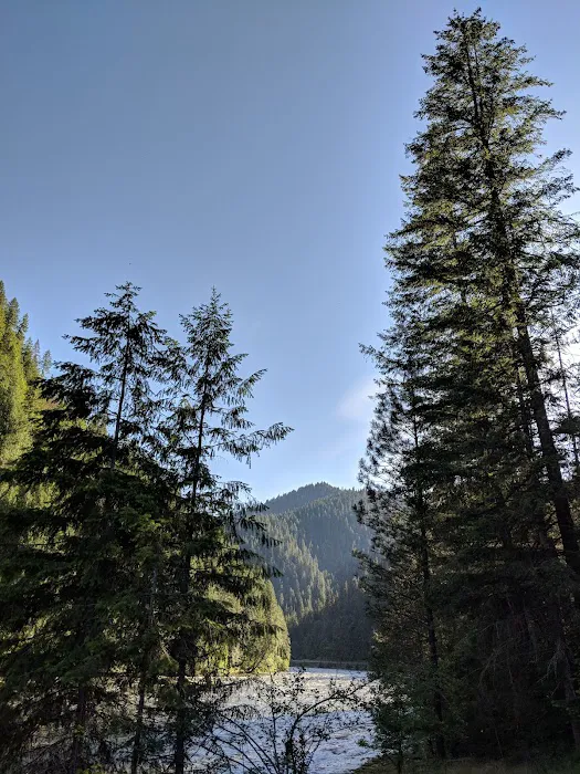 Apgar Campground 1