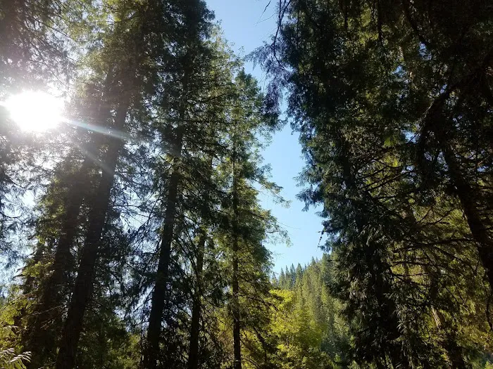 Apgar Campground 4