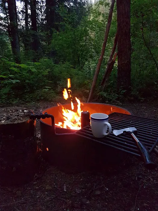 Apgar Campground 8