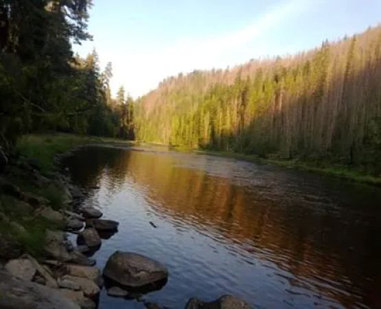 Rackliff Campground