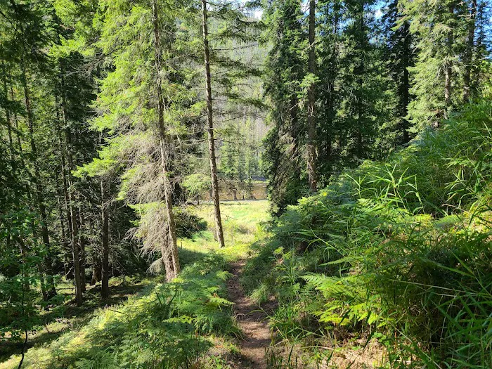 CCC Campground 2