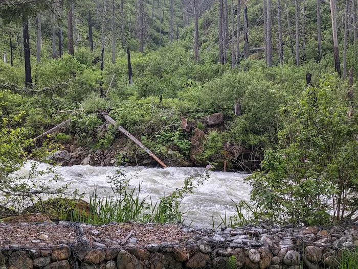 Selway Falls Campground 1