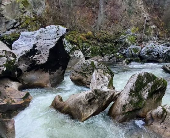 Selway Falls Campground