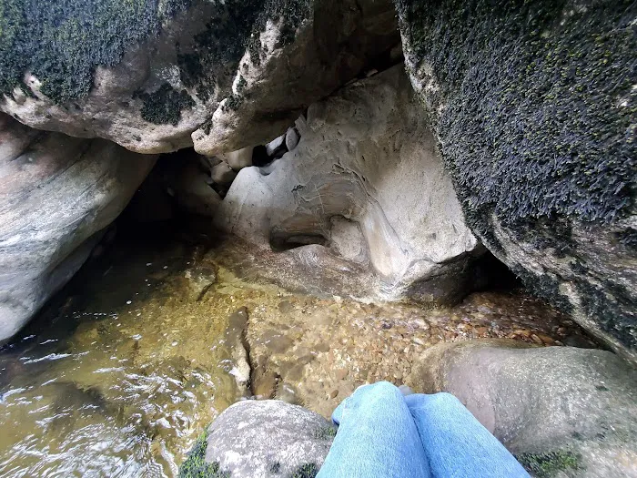 Selway Falls Campground 5
