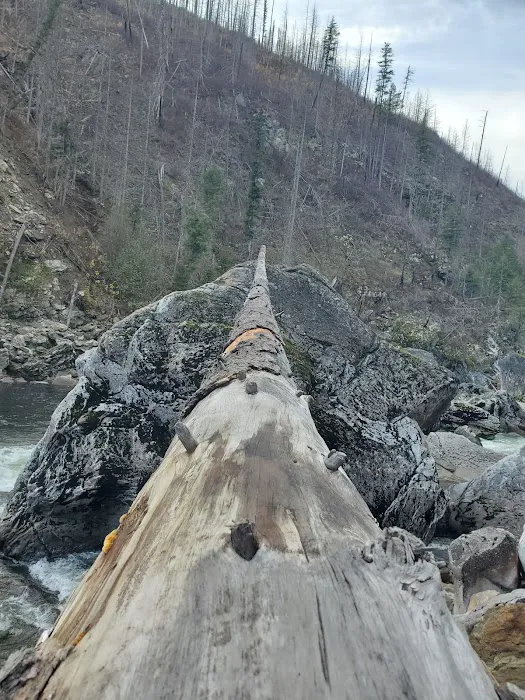 Selway Falls Campground 7