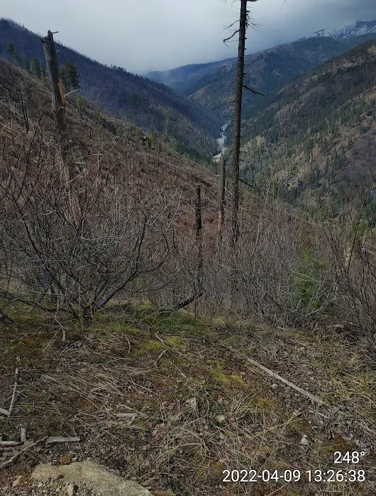 Selway Falls Campground 4