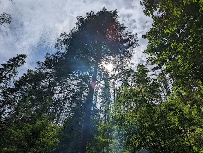 Selway Falls Campground 9